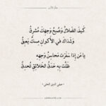 شعر صفي الدين الحلي - من أرق وأغزل الشعر العربي