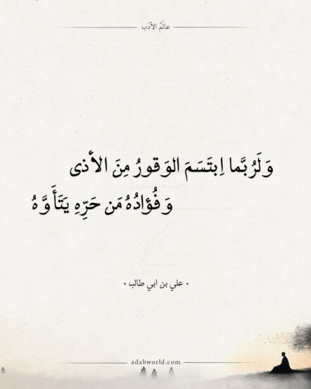 من أجمل أقوال علي بن أبي طالب - ولربما ابتسم الوقور من الأذى