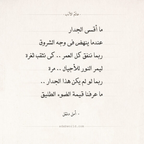 شعر أمل دنقل - ما أقسى الجدار