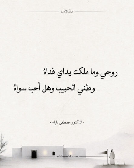 قصيدة وطني الحبيب – مصطفى بليله (غناء طلال المداح)